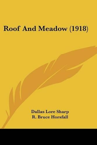 Roof And Meadow (1918)
