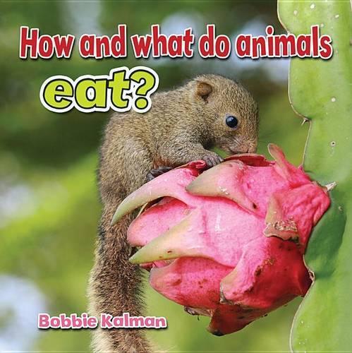 How and What Animals Eat