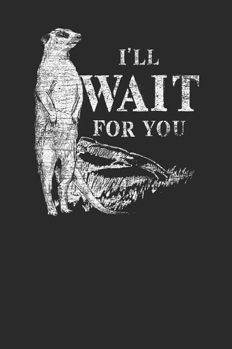 I'll Wait For You