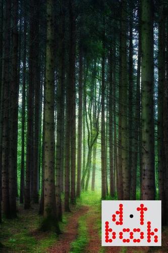 The Dot Book - A Dot Grid Notebook for Graphic Designers - Beauty Series - 008