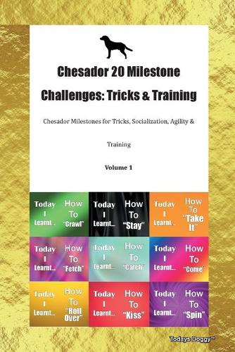 Chesador 20 Milestone Challenges