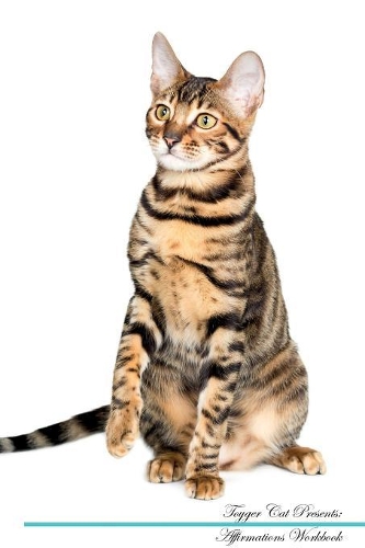 Toyger Cat Affirmations Workbook Toyger Cat Presents