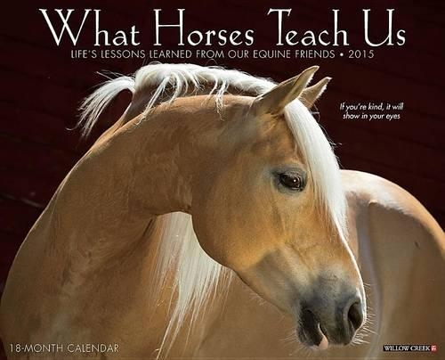 2015-What Horses Teach Us