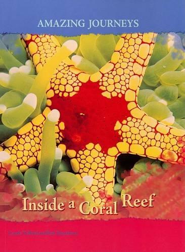 Inside a Coral Reef