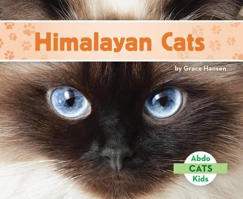 Himalayan Cats