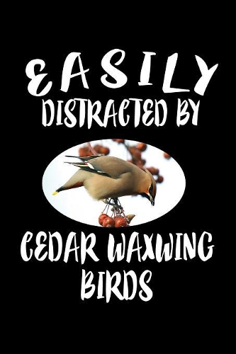 Easily Distracted By Cedar Waxwing Birds