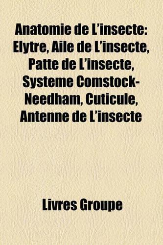 Anatomie de L'Insecte: Lytre, Aile de L'Insecte, Patte de L'Insecte, Systme Comstock-Needham, Cuticule, Antenne de L'Insecte(French)