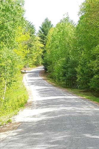 2020 Weekly Planner Pretty Country Road Springtime 134 Pages