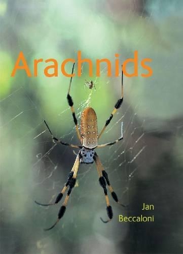 Arachnids