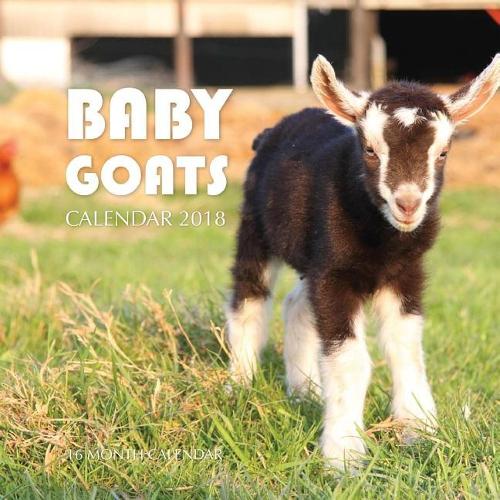 Baby Goats Calendar 2018