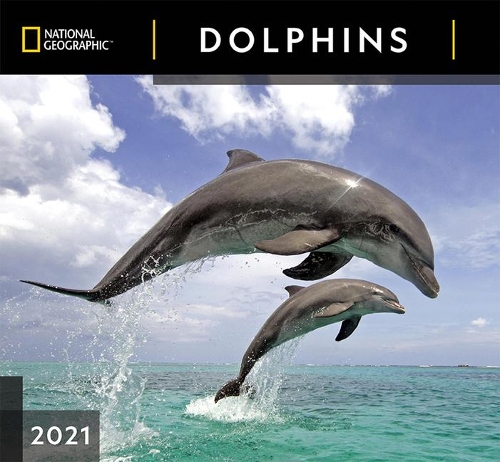Cal 2021- National Geographic Dolphins Wall