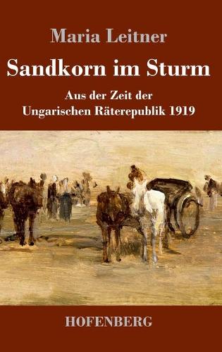 Sandkorn im Sturm