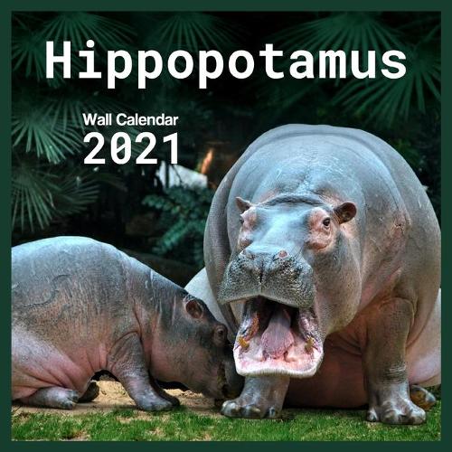 Hippopotamus 2021 Wall Calendar