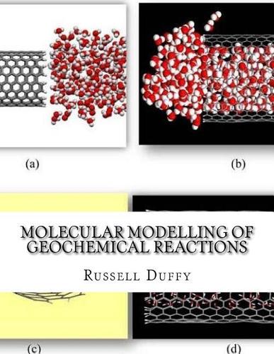 Molecular Modelling of Geochemical Reactions
