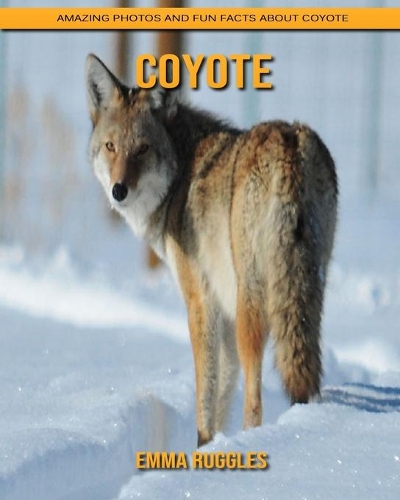 Coyote: Amazing Photos and Fun Facts about Coyote