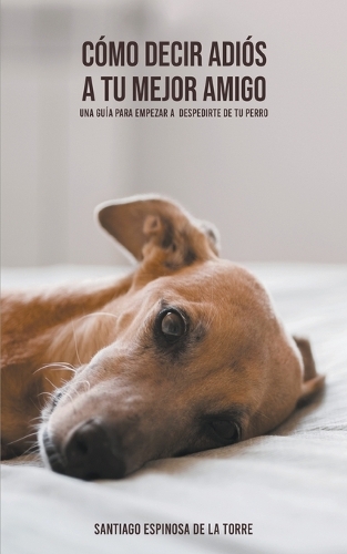 Cómo decir adiós a tu mejor amigo: (4 Cómo Afrontar el Duelo Tras la Pérdida de Tu Mascota)