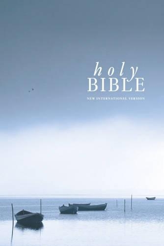 NIV Popular Economy Bible