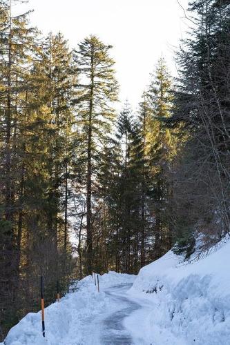 Snow Packed Mountain Road on a Sunny Day Journal: 150 Page Lined Journal/Notebook/Diary