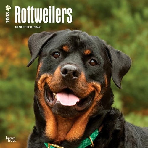 Rottweilers 2018 Wall Calendar
