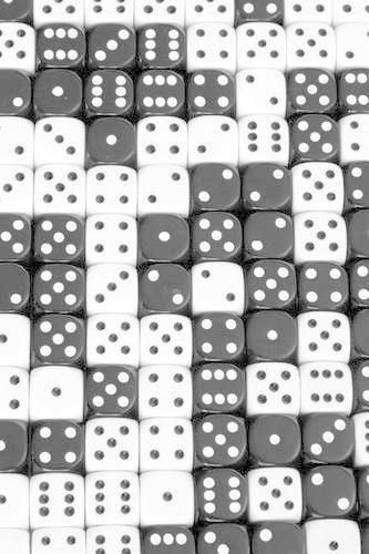 Black and White Dice Journal