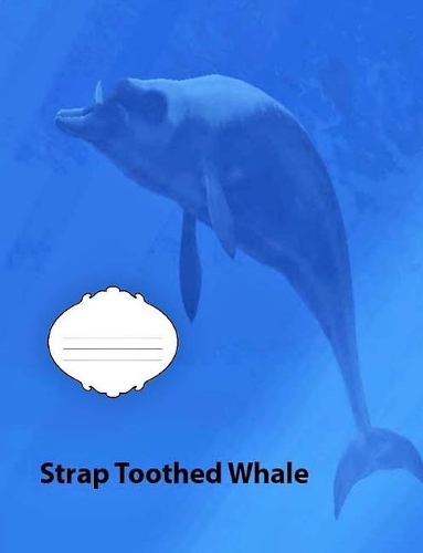 Strap Toothed Whale Wide Ruled Line Paper Composition Book: Whale Fans, Elementary Students, School supplies, Causal writing, Journals