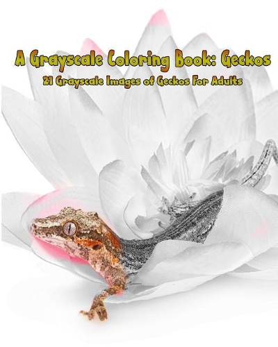 A Grayscale Coloring Book