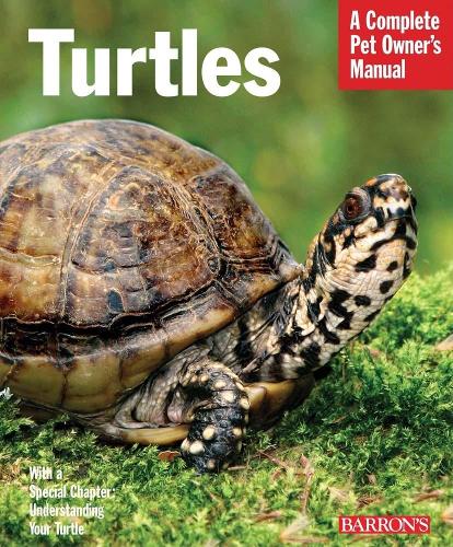 Turtles and Tortoises