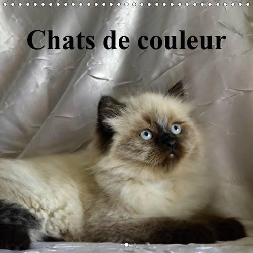 Chats de Couleur 2017