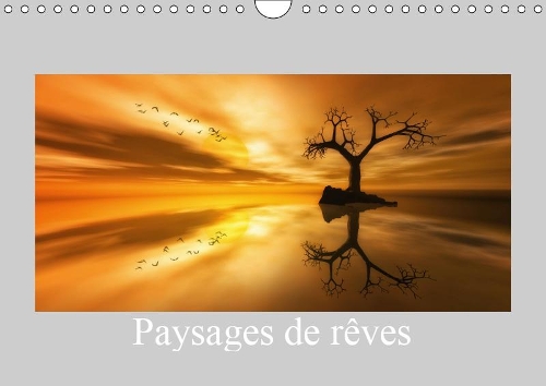 Paysages de rêves 2019: Quelques paysages imaginaires(Calvendo Art)
