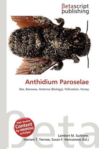 Anthidium Paroselae: (English)