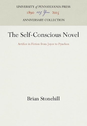 The Self-Conscious Novel
