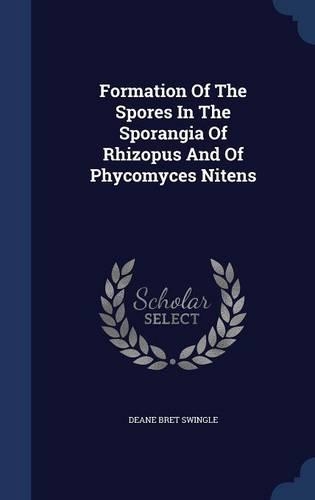 Formation Of The Spores In The Sporangia Of Rhizopus And Of Phycomyces Nitens