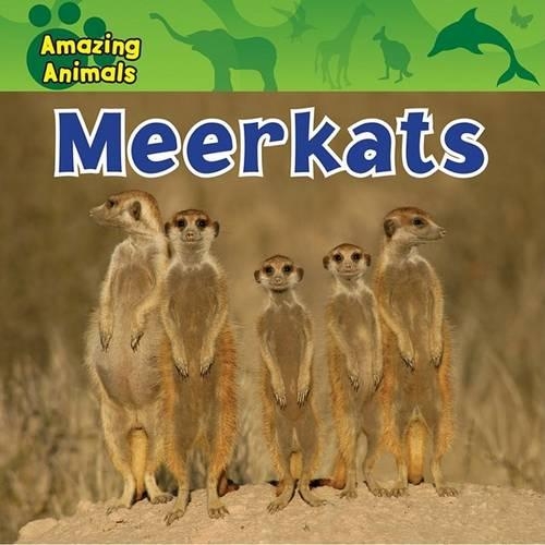 Meerkats