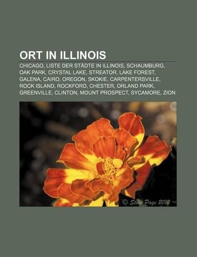 Ort in Illinois