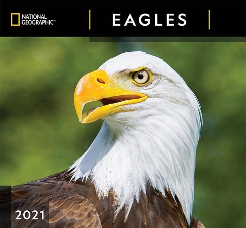 Cal 2021- National Geographic Eagles Wall