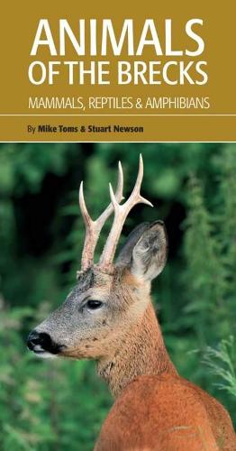 Animals of the Brecks: Mammals, Reptiles & Amphibians