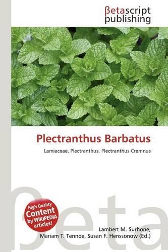 Plectranthus Barbatus