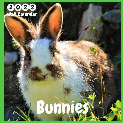 Bunnies 2022 Wall Calendar: Official Bunnies Calendar 2021, 12 Months, Bunnies Lovers Calendar