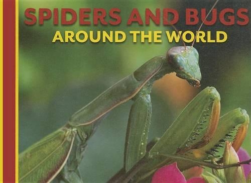 Spiders and Bugs Around the World