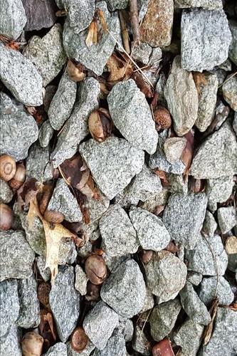 2020 Weekly Planner Journal Rocks Acorns 134 Pages: 2020 Planners Calendars Organizers Datebooks Appointment Books Agendas