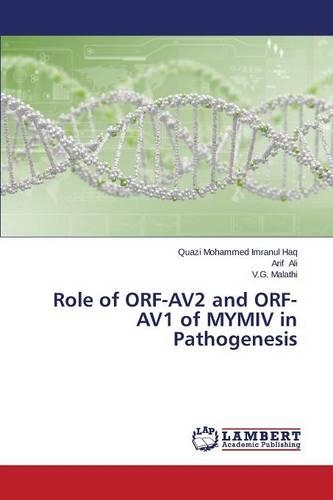 Role of ORF-AV2 and ORF-AV1 of MYMIV in Pathogenesis