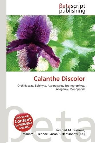 Calanthe Discolor: (English)