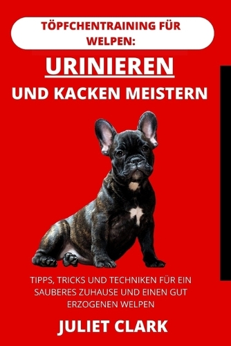 Töpfchentraining für Welpen