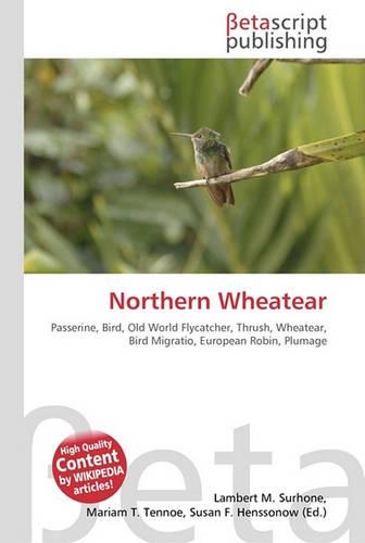 Northern Wheatear