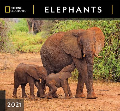 Cal 2021- National Geographic Elephants Wall