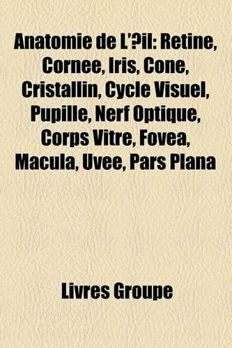 Anatomie de L'Il