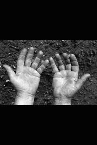 Mi Testimonio: Un Viaje Divino