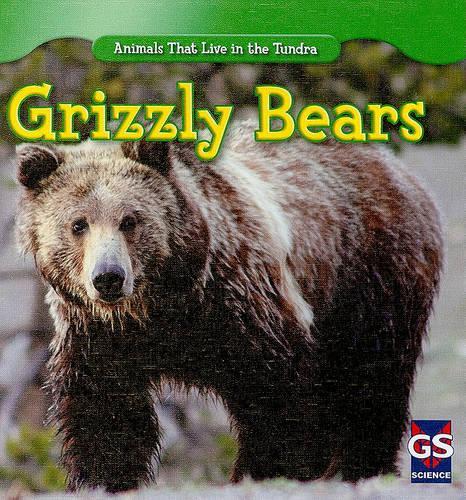 Grizzly Bears