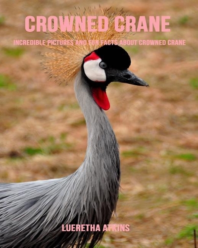 Crowned Crane: Incredible Pictures and Fun Facts about Crowned Crane