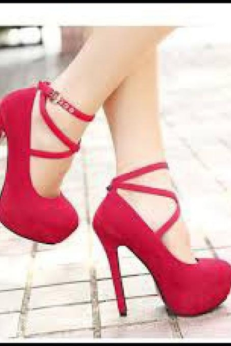 Compreendendo a Humanidade